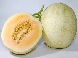 แคนตาลูปเนื้อส้ม