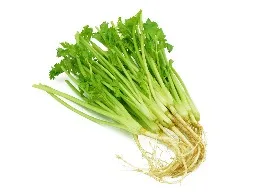 รากผักชี