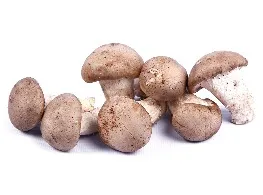 เห็ดหอมสด