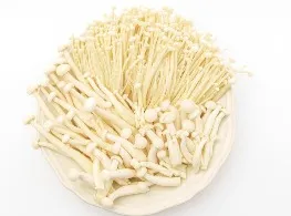 เห็ดหิมะขาว